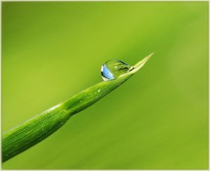 Forum 9.jpg Forum 9.jpg