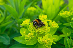 SDIM4541.jpg SDIM4541.jpg