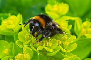 SDIM4541Corp.jpg SDIM4541Corp.jpg