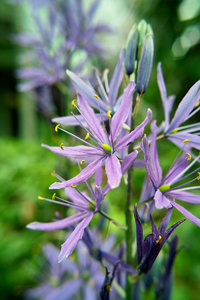 SDIM4605.jpg SDIM4605.jpg