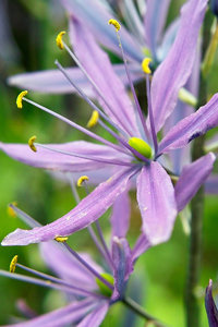 SDIM4605Corp.jpg SDIM4605Corp.jpg