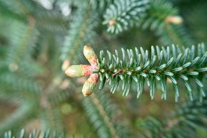 SDIM4589.jpg SDIM4589.jpg