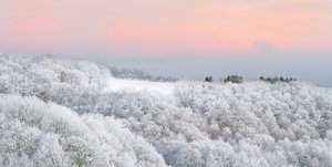 Fotoforum (28 von 4).jpg