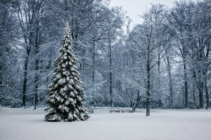 1-comp_1-Schnee Tour MG 168a.jpg