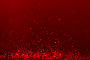 wir hatten eine gute Zeit aber die Bilder 4.jpg