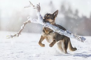 comp__MG_9870a-Bearbeitet.jpg comp__MG_9870a-Bearbeitet.jpg