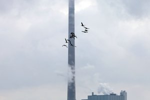 comp_IMG_6495 Kopie.jpg