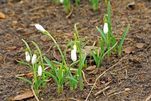 comp_D2X_7125 bearbeitet_bearbeitet-1.jpg