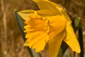 comp__SDI3376+.jpg comp__SDI3376+.jpg