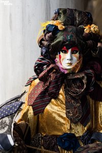 k-DSC_5119.jpg k-DSC_5119.jpg