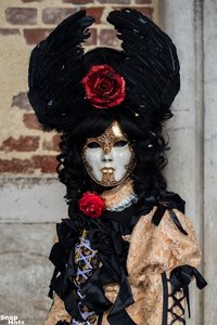 k-DSC_5125.jpg k-DSC_5125.jpg