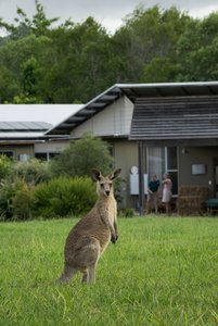 1200_300DSC06808.jpg 1200_300DSC06808.jpg