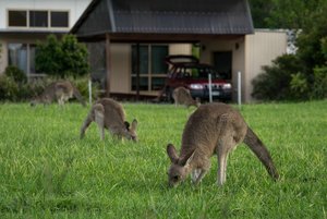 1200_300DSC06791.jpg 1200_300DSC06791.jpg