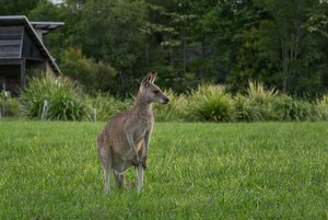 1200_300DSC06797.jpg 1200_300DSC06797.jpg