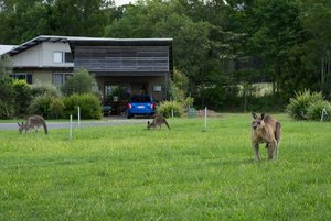 1200_300DSC06819.jpg 1200_300DSC06819.jpg