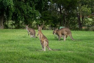 1200_300DSC06820-Bearbeitet.jpg 1200_300DSC06820-Bearbeitet.jpg