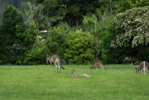 1200_300DSC06822-Bearbeitet.jpg 1200_300DSC06822-Bearbeitet.jpg