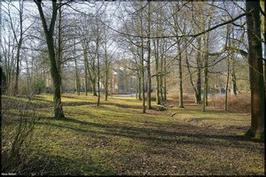 Lichtblick-Meiningen - 17.jpg