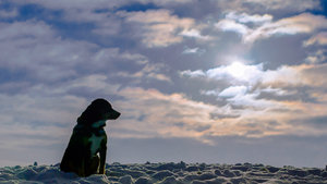 Fotoforum (1 von 6).jpg