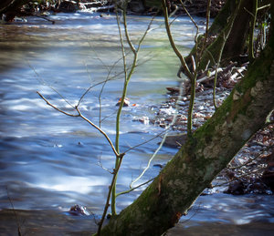 Fotoforum (2 von 6).jpg