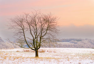 Fotoforum (3 von 6).jpg