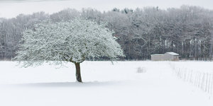 Fotoforum (4 von 6).jpg