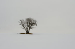 Fotoforum (38 von 1).jpg Fotoforum (38 von 1).jpg