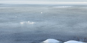 Fotoforum (39 von 4).jpg