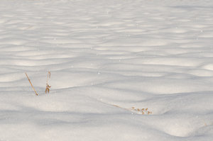 Fotoforum (40 von 4).jpg