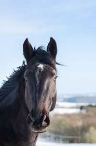 Fotoforum (41 von 4).jpg