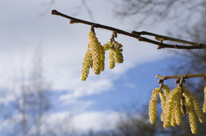 Fotoforum (42 von 4).jpg