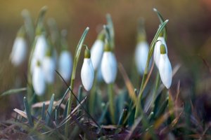 000163-ENTE ODER WAS.jpg