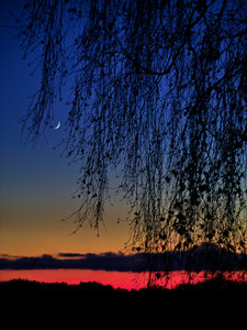 2014_11_24_SD9_55mm_f2_Rasdorf_Birke_Mondsichel_0360_0362_VarA_DT01_3zu4_675x900pix.jpg 2014_11_24_SD9_55mm_f2_Rasdorf_Birke_Mondsichel_0360_0362_VarA_DT01_3zu4_675x900pix.jpg