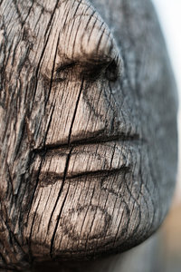 300_6197web.jpg 300_6197web.jpg