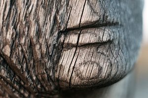 300_6200web.jpg 300_6200web.jpg