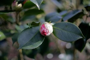 Bild - 1.jpg Bild - 1.jpg