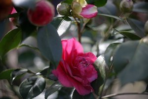 Bild - 2.jpg Bild - 2.jpg