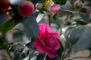 Bild - 3.jpg Bild - 3.jpg