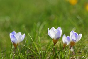 Bild - 4.jpg Bild - 4.jpg