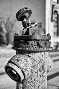 000236-SPINNEREI FENSTERFRONT.jpg