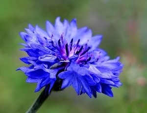 Bild15.jpg Bild15.jpg