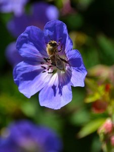 Bild17.jpg Bild17.jpg