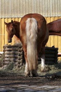 000003-MINOLTA AF 24-105.jpg