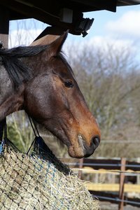 000004-MINOLTA AF 24-105.jpg