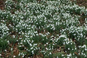 000010-MINOLTA AF 24-105.jpg