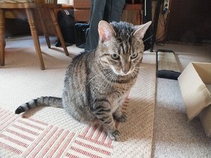 DSCF1419.jpg DSCF1419.jpg