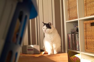 comp__SDI3197+.jpg comp__SDI3197+.jpg