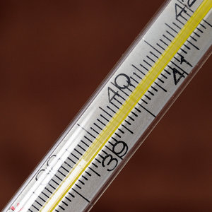 300_6268-f5.6_WEB.jpg 300_6268-f5.6_WEB.jpg