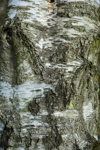 comp_DSC_5479.jpg comp_DSC_5479.jpg