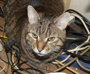 DSCF1433.jpg DSCF1433.jpg